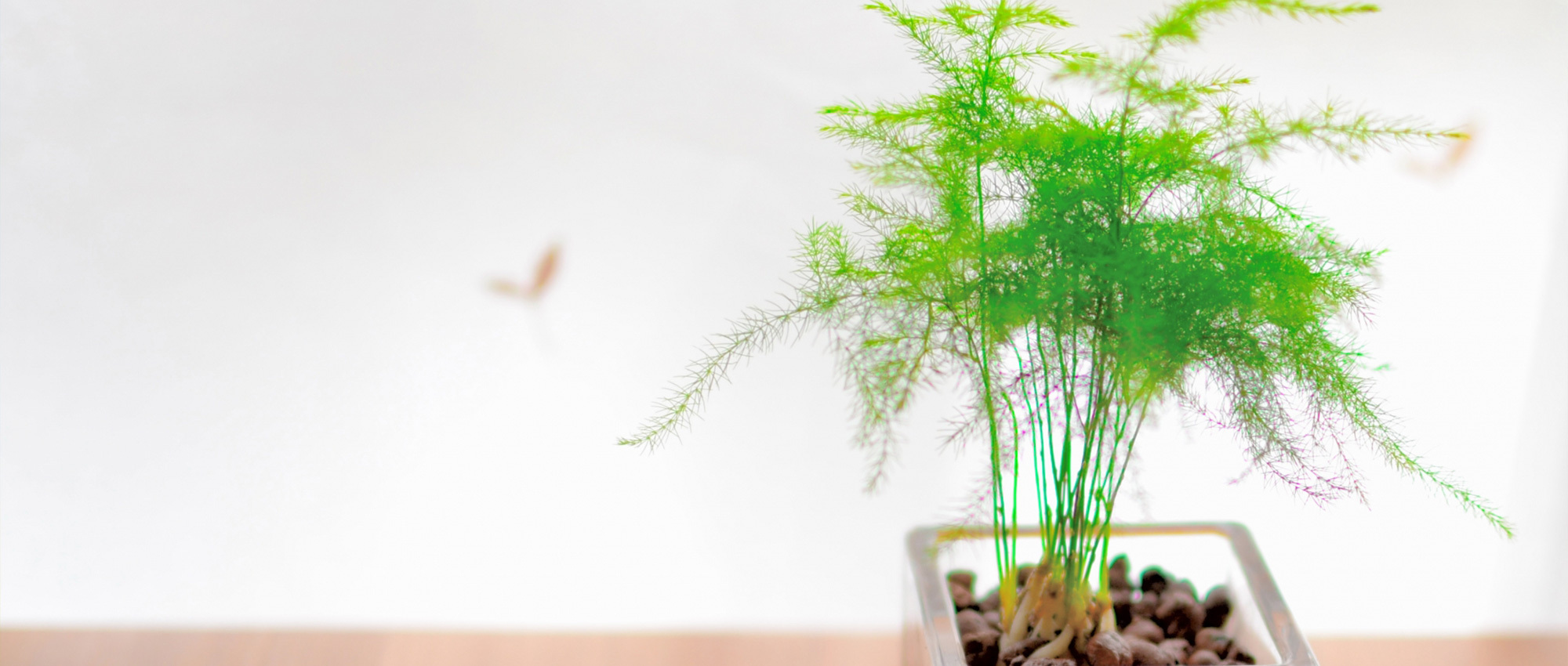 相模原市南区麻溝台、相模大野駅、内科、外科、肛門外科